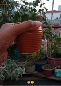Tea Cups|| Kulad Design || 2 Piece