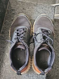 Skechers Casual Shoes