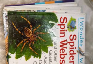 6 Book Combo Of I Wonder Why Children Books Series