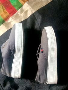 Blue Shoe
