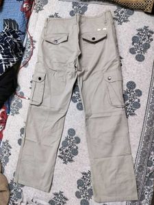 Beige Colour Cargo