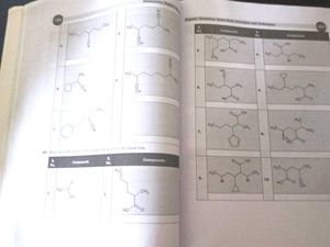 Organic Chemistry Book