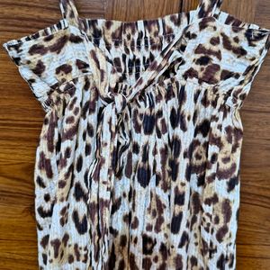 Tiger Print Dress