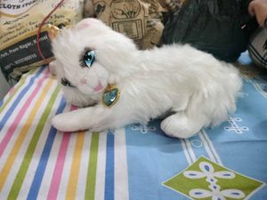 Cute Plush Kitten