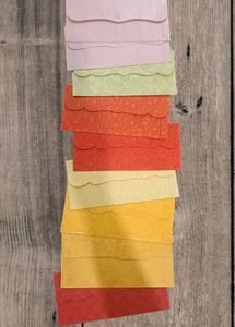 Beautiful Shagan Envelopes