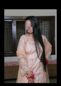 Elegant Fish Cut Lehenga Choli