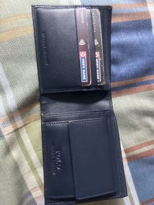 Polo Bear Wallet