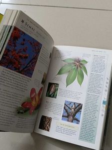 Trees of Delhi: A Field Guide