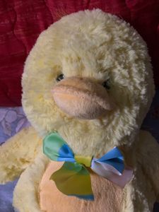 Baby Duck 💛
