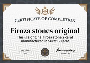 Firoza Stone (money Magnet) With 6g Silver