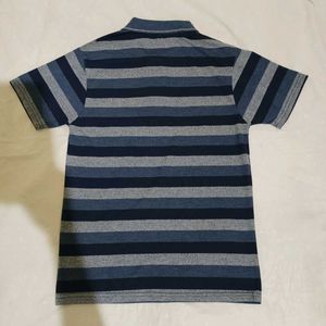 🆕 Collar T-shirt (M)