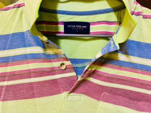 Parrot Colored MultiStripe Checked T-shirt