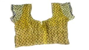 Beautiful Saree with Gorgeous Print