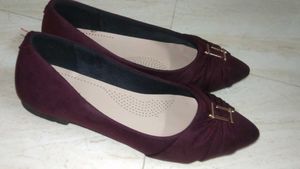 New SHEZONE Bellies