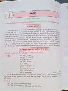 Golden Hindi Textbook - Class VIII