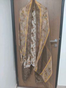 Brown Pant Style Salwar Suit