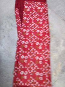 Embroidered Ethnic Skirt