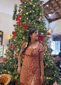 Rust Coloured Empire Fit Dress