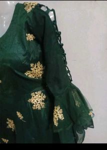 🎉Green Ethnic Gown