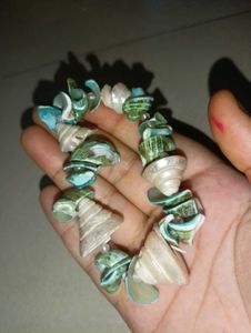 Seashell Bracelet