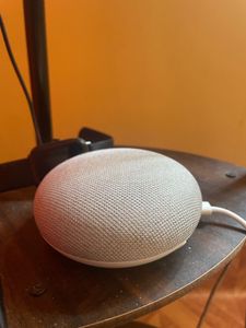 Google Nest Mini