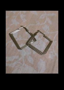 Silver Earnings