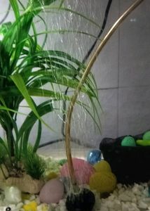 Big Size Aquarium