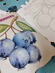Drawing Books