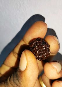 Sulemani Hakik Natural with 5 Nepali Rudraksha