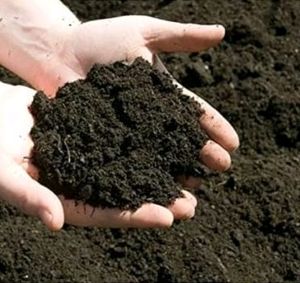 5 Kg Cow Dung Cake Gobar Khad Powder