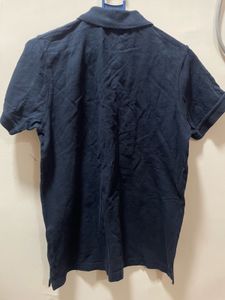 Asian Paints logo polo tshirt unisex