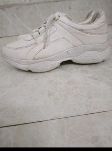 Sport Shoes New Condition
