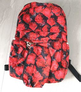 New School/College Bags Back Pack and Pouch