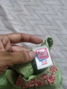 Lehnga Choli Pink Green