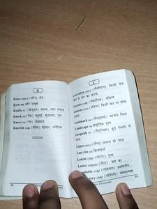 Pocket Dictionary