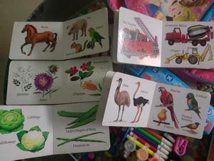 Kids Art and School Supplies