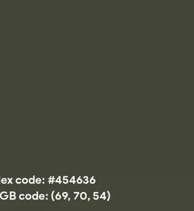 Olive Premium Highwaist