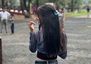 Trendy Mesh Long Sleeve Top