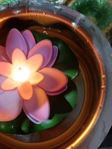 Diwali Diya