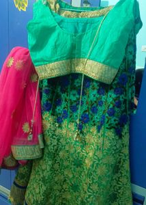Embroidered Lehenga Choli
