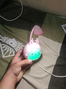 Rechargeable Study Lamp