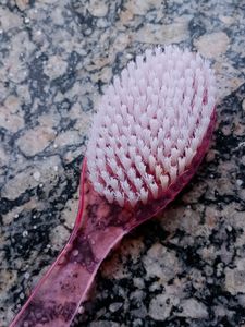 Vega Luxury Bath Brush