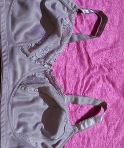 Zivame Bra Size 36F