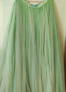 Elegant Lehenga Choli