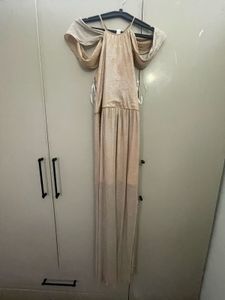 Stylish Shimmer Dress