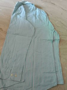 Striped Slim Fit Shirt