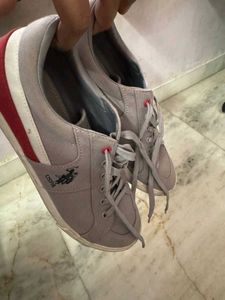 US POLO ASSN grey And Red Shoes