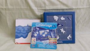 North Pole Camouflage Game