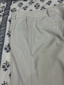 Formal Office Branded Trousers