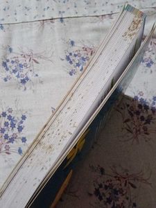 My Big Book Of Fun Activities
